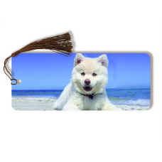 Naked-Eye 3Dog & Cat Bookmarks- 3D Drink Coasters