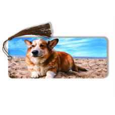Naked-Eye 3Dog & Cat Bookmarks- 3D Drink Coasters