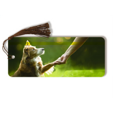 Naked-Eye 3Dog & Cat Bookmarks- 3D Drink Coasters