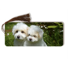 Naked-Eye 3Dog & Cat Bookmarks- 3D Drink Coasters