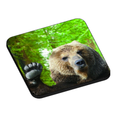 Wood Badge Bear - 3D Drink Coasters