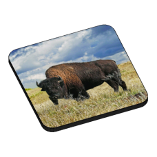 Wood Badge Buffalo - 3D Drink Coasters