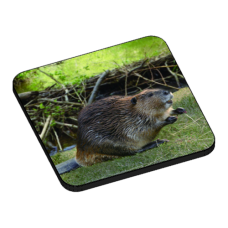 Wood Badge Beaver - 3D Drink Coasters