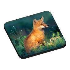 Wood Badge Fox - 3D Drink Coasters