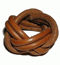 WOOD BADGE CRITTERS